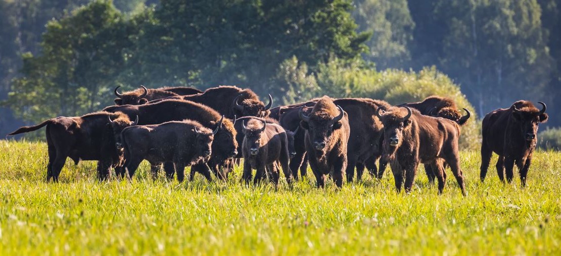 Ilgtspējīga attīstība praksē – mūsu darbības vides aizsardzībai